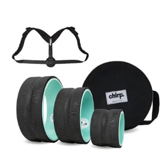 Chirp Wheels set  12’’ 10’’  6’’  For Back Relief With Case and Posture Support - Picture 1 of 7